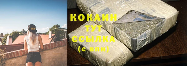 индика Медвежьегорск