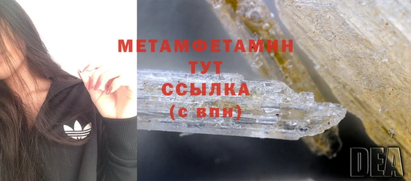 индика Медвежьегорск