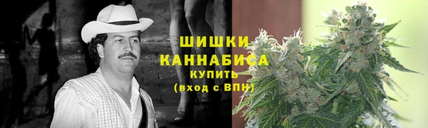 индика Медвежьегорск