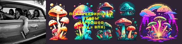 индика Медвежьегорск