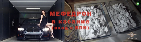 индика Медвежьегорск