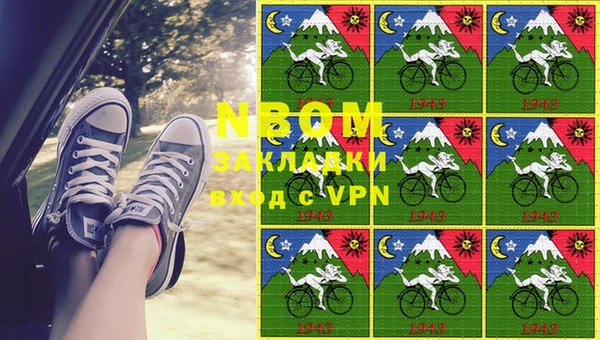 шишки Ачинск