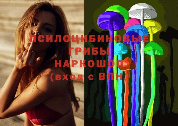 индика Медвежьегорск