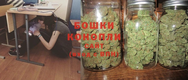 индика Медвежьегорск