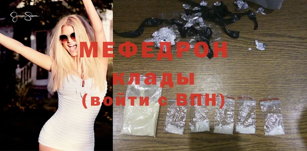 индика Медвежьегорск