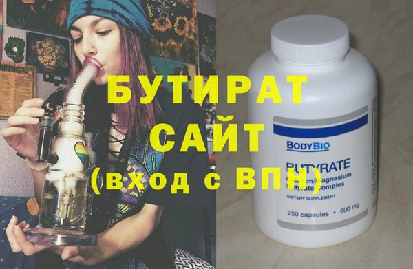 индика Медвежьегорск