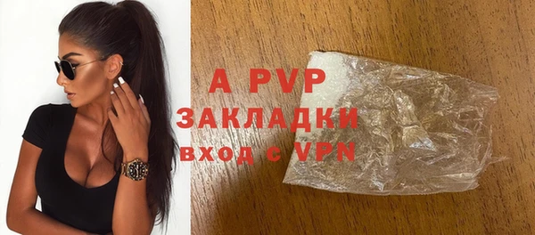 индика Медвежьегорск