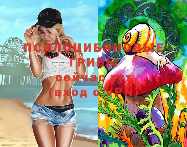 индика Медвежьегорск