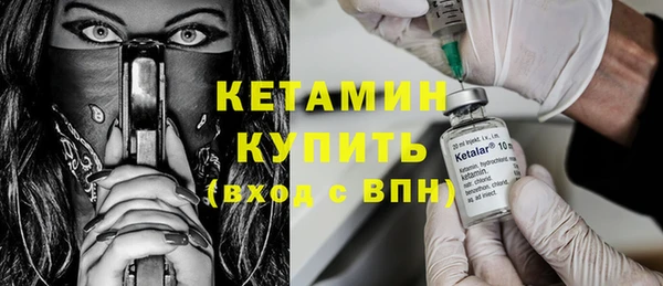 индика Медвежьегорск
