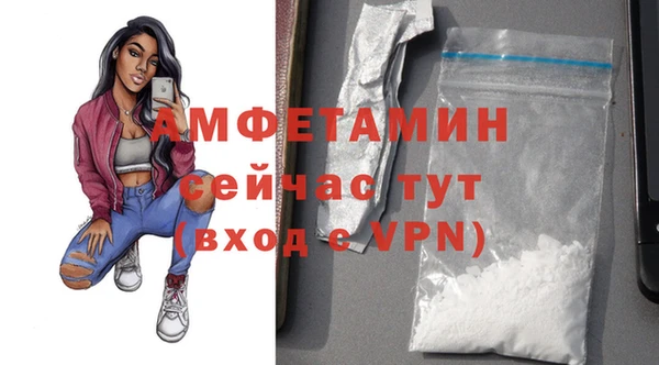 индика Медвежьегорск