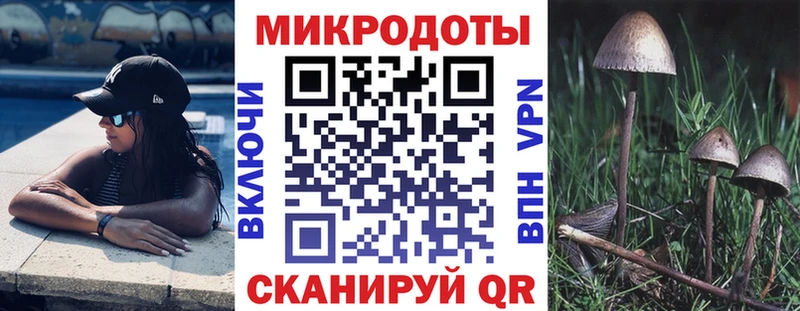 Псилоцибиновые грибы Cubensis  hydra рабочий сайт  Приморск 